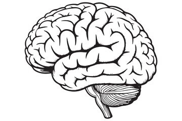 Brain silhouette icon simple vector illustration isolated on white background for medical concepts
