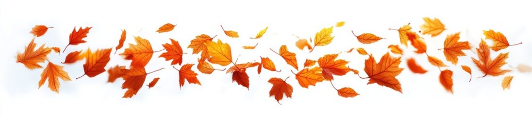 Vibrant orange and red autumn leaves blowing and swirling against a bright white background, capturing the lively movement and colors of fall foliage