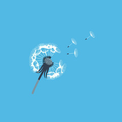 vector of a white dandelion blowing in the wind with seeds dispersing, symbolizing freedom and wishes.