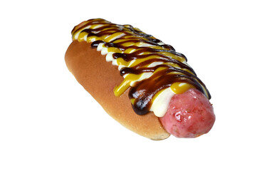 hot dog street food bread sausage and sauces typical food delicious flavor