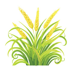 Simple Illustration of Ripe Golden Wheat Ears and Stalks, Isolated Vector
