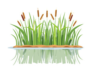 Cattail Plants and Reeds in Calm Water, Minimalist Wetland and Nature Graphic
