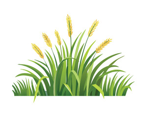 Border of Wheat and Grass, Simple Farm and Harvest Season Vector