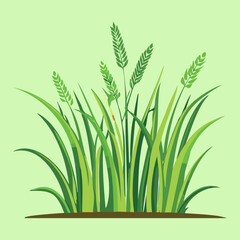 Vector Illustration of a Wild Plant with Seed Heads and Spikes