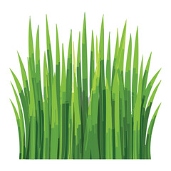 Fototapeta premium Detailed Vector Illustration of a Lush Green Bush of Grass Blades