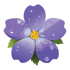 Detailed Violet Flower with Water Drops on White Background