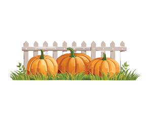 Halloween Or Thanksgiving Scene With Pumpkins And A Wooden Fence