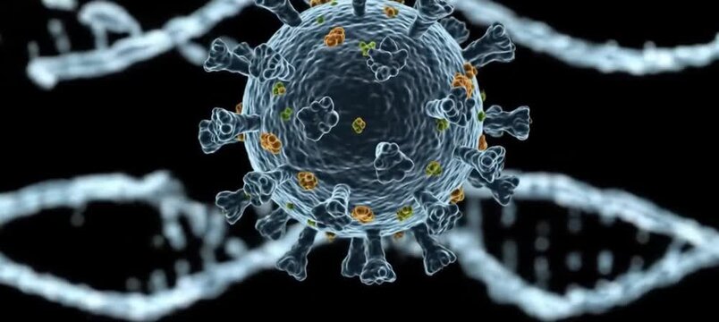 DNA Strand Splitting and Recombining Visuals for Virus Research and Education