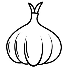 vector illustration of garlic 