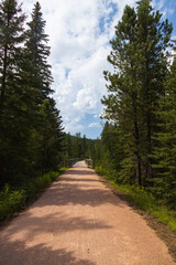 Bridge on the George S. Mickelson trail, South Dakota