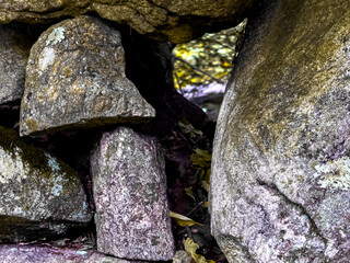 Close-up of lichen on weathered stones