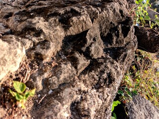Close-up of weathered rock formation with textured surface in natural light