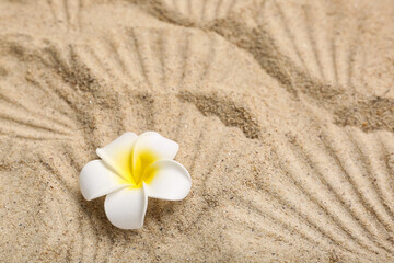 Obraz na płótnie Canvas Plumeria flower on sand, top view