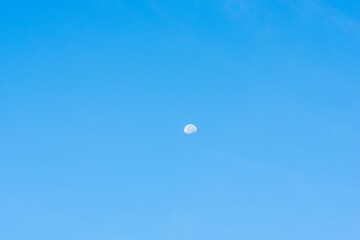夏の早朝の空に白い月が浮かぶ04