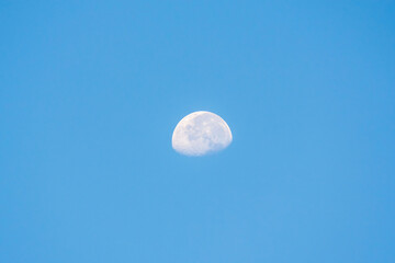 夏の早朝の空に白い月が浮かぶ12