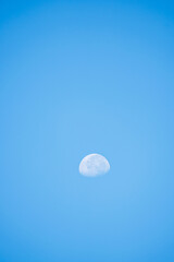 夏の早朝の空に白い月が浮かぶ15