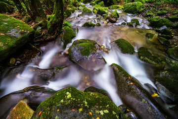 A long exposure photograph of a summer moss valley landscape in South Korea
