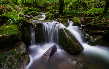 A long exposure photograph of a summer moss valley landscape in South Korea