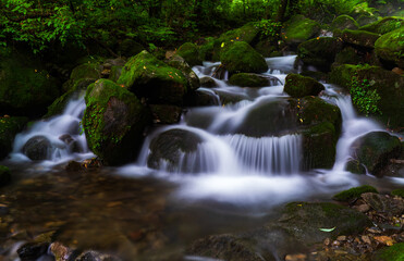 A long exposure photograph of a summer moss valley landscape in South Korea