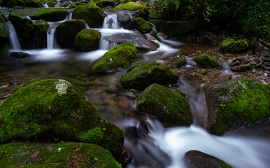 A long exposure photograph of a summer moss valley landscape in South Korea