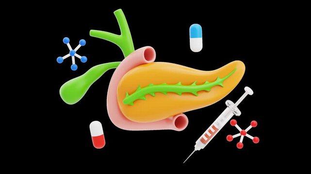 3D Animation of Human Pancreas and Gallbladder Model with Pancreatitis | Alpha Channel