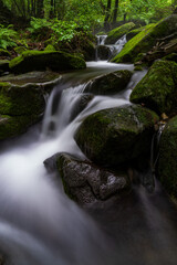 A long exposure photograph of a summer moss valley landscape in South Korea