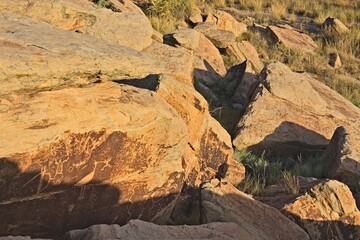 Petroglyphs at the Petrified Forest National Park, Arizona.