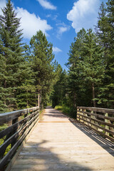 Bridge on the George S. Mickelson trail, South Dakota