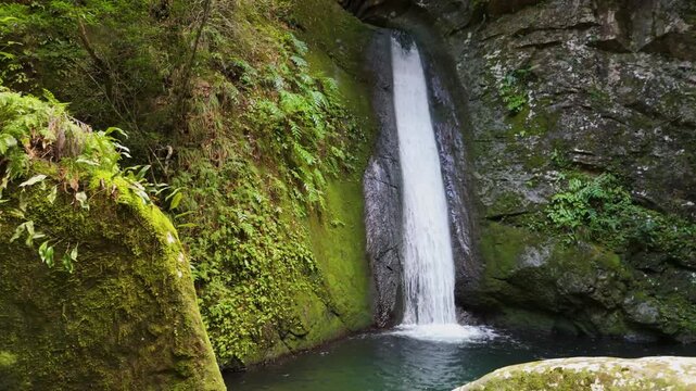 和歌山県古座川町の名瀑「神水爆」　Shinsuibaku Falls &ndash; Hidden Gem in Kozagawa Town, Wakayama Prefecture