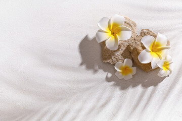 Stones with beautiful plumeria flowers and shadow of palm leaf on white background