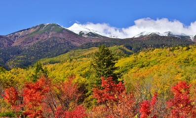 のりくら高原の秋景色