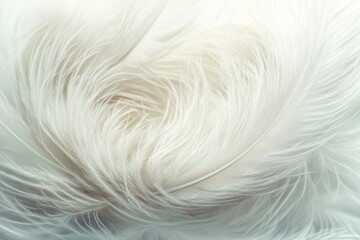 Obraz premium Close-up shows soft white feathers intertwined, with subtle color gradients. Perfect for conveying themes of purity, softness, or a peaceful message.