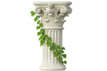 White column with detailed carvings and green climbing plant, isolated on transparent background, ideal for architectural visualization or history-themed projects