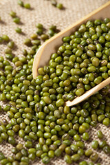 green mung beans on table.