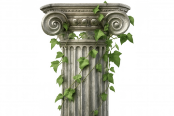Green ivy climbing a weathered ionic column, isolated on a transparent background, perfect for architectural or historical projects
