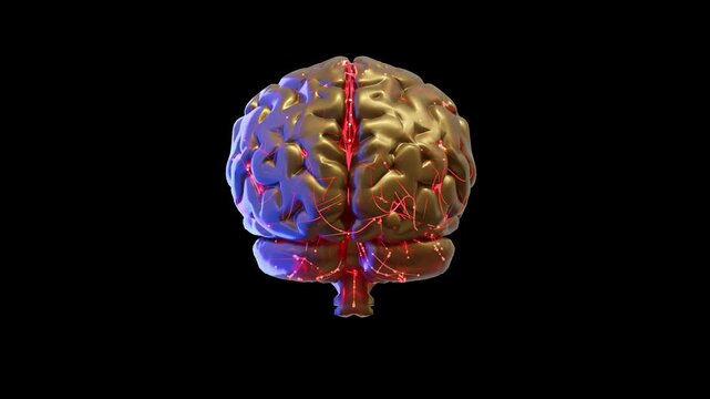Brain gold color. Small round, red spheres running in brain. Medical technology concept. Animation Seamless loop. 3D Render.