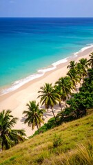 Tropical beach from above