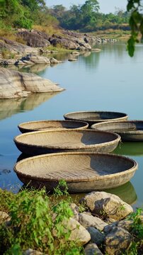 Traditional coracle boats on serene river. Woven boats with dark and light tones. Peaceful rural landscape with rocky backdrop.