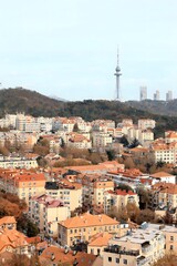 Obraz premium Enchanting aerial view of Qingdao showcasing Zhanqiao Pier and Signal Hill in autumn's embrace