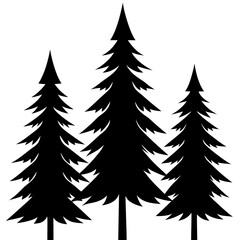 Obraz premium Three evergreen trees in a forest silhouette