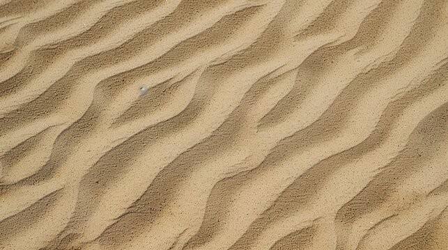 Windblown sand texture with smooth parallel ridges in light brown natural desert patterns showing erosion and geological formation details under sunlight.