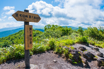 鷲ヶ峰　ハイキング　トレッキング