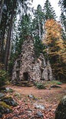 Ancient Stone Structure in Forest