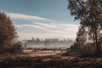 Misty autumnal landscape with trees and a hazy horizon