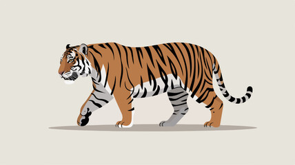 Obraz premium Tiger walking animal illustration
