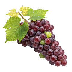 Fototapeta premium bunch of grapes