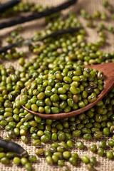 close up of green mung beans on table.