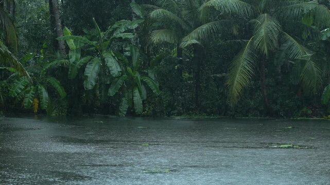 Due to the influence of the southwest monsoon, various parts of India experience heavy rainfall during the monsoon season.