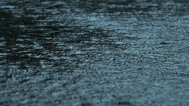 Due to the influence of the southwest monsoon, various parts of India experience heavy rainfall during the monsoon season.