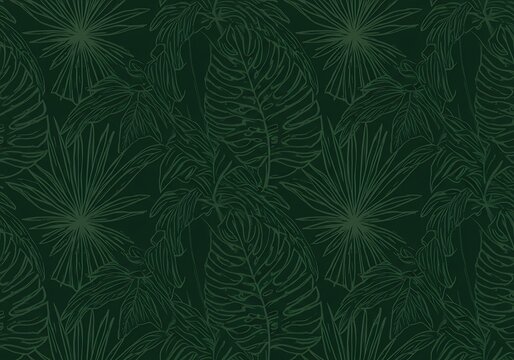 Elegant line drawing of tropical jungle leaves on a dark green background, a seamless exotic foliage pattern.